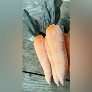 Nwt Set of 3/  Orange Velvet Carrot T 9